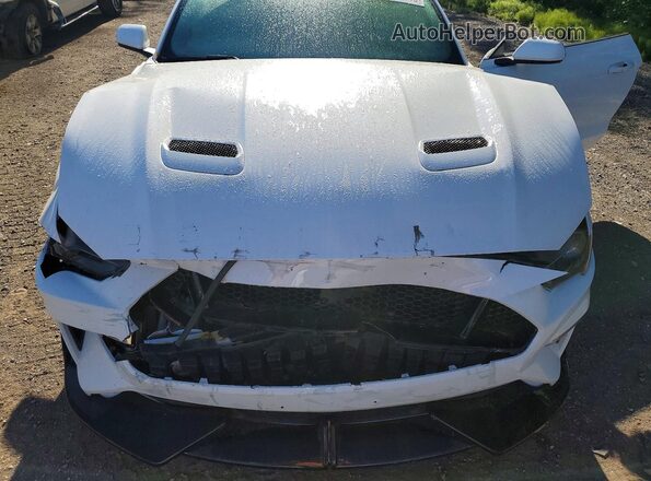 1FA6P8CF7K5145164 2019 FORD MUSTANG White Սալոնի հետևի տեսք