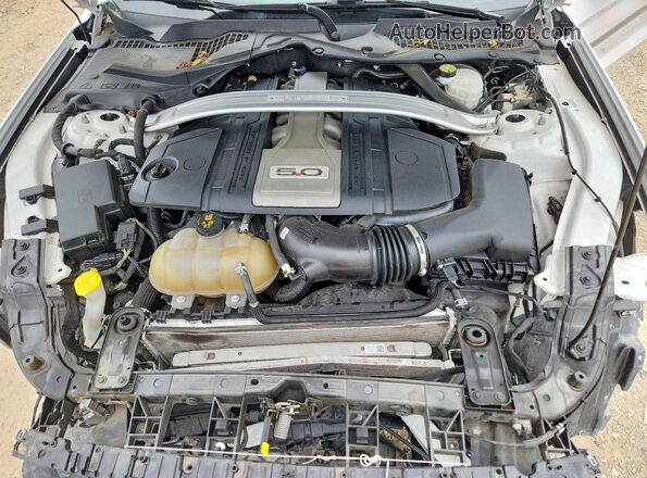 1FA6P8CF7K5147626 2019 FORD MUSTANG Белый Вид задней части салона