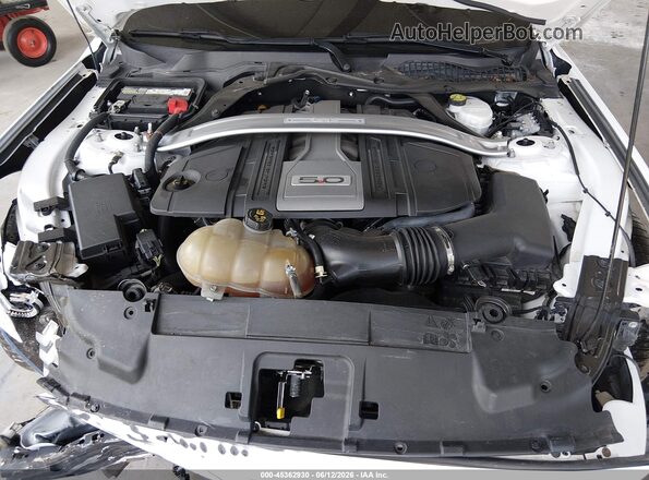 1FA6P8CF8K5118068 2019 FORD MUSTANG Белый Вид сзади