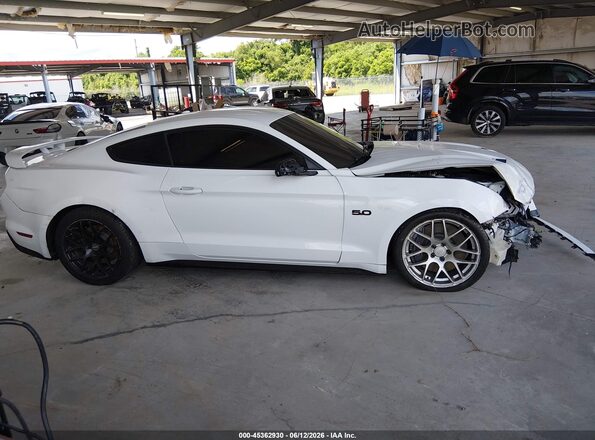 1FA6P8CF8K5118068 2019 FORD MUSTANG Белый Вид задней части салона