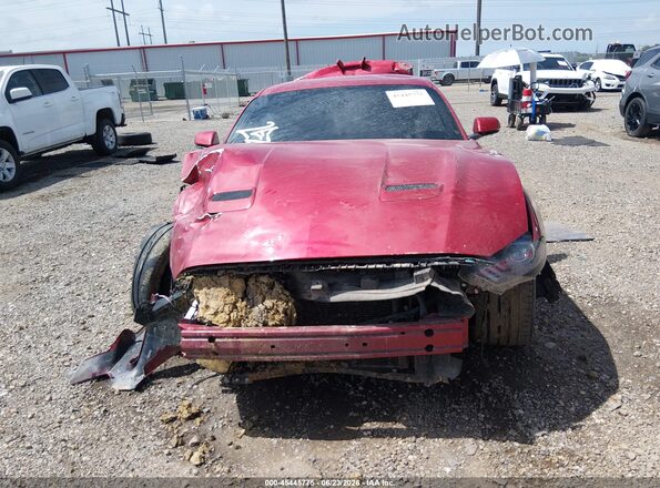 1FA6P8CF9L5100910 2020 FORD MUSTANG Red Սալոնի հետևի տեսք