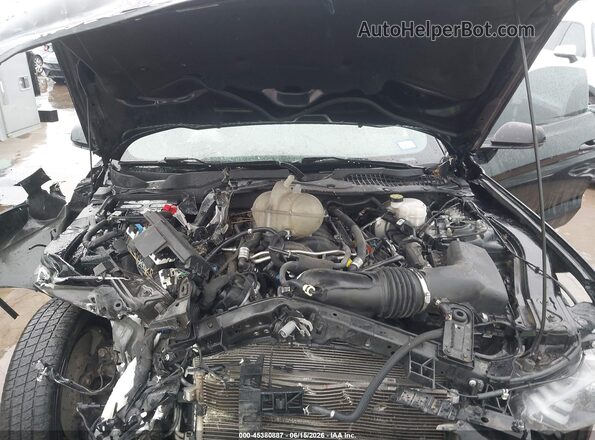 1FA6P8CF9M5135237 2021 FORD MUSTANG Черный Вид сзади