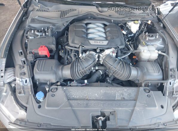 1FA6P8CF9R5414808 2024 FORD MUSTANG Серый Вид сзади