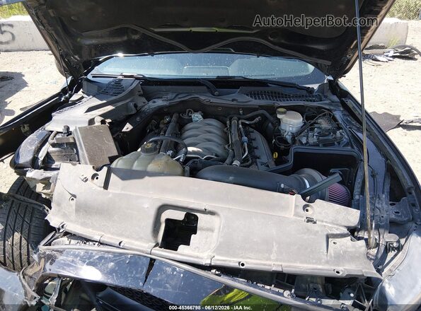 1FA6P8CFXH5344296 2017 FORD MUSTANG Черный Вид сзади