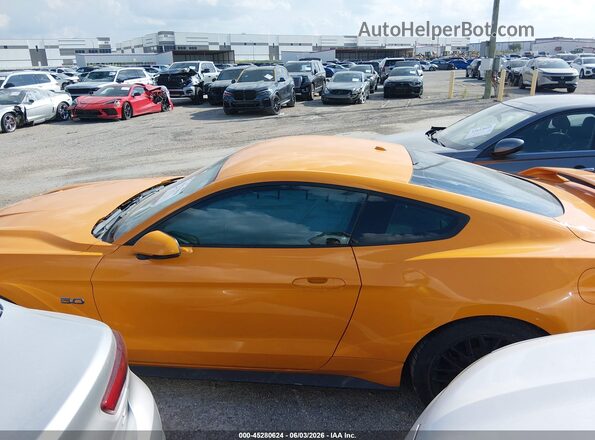 1FA6P8CFXJ5113677 2018 FORD MUSTANG Оранжевый Вид задней части салона