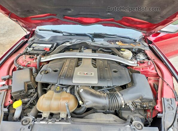 1FA6P8CFXK5117021 2019 FORD MUSTANG Red 