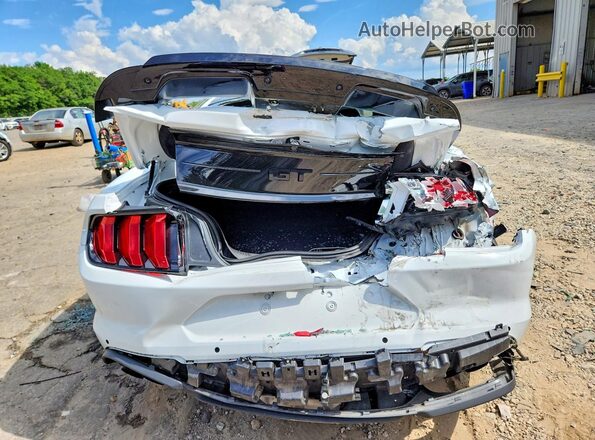 1FA6P8CFXP5302807 2023 FORD MUSTANG White Vista trasera