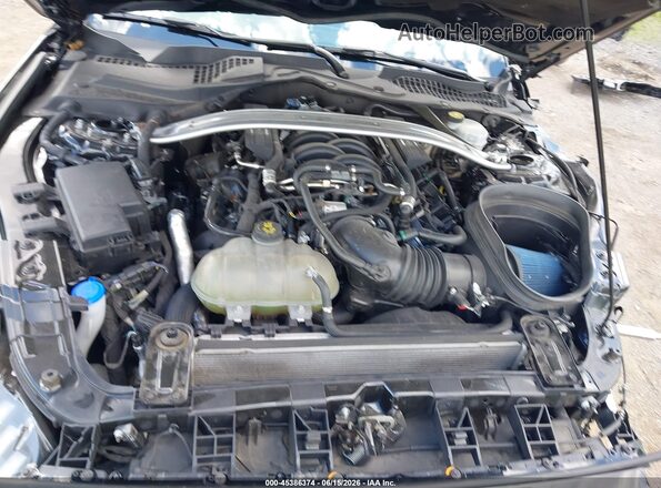 1FA6P8R04M5554261 2021 FORD MUSTANG Black Widok z tyłu