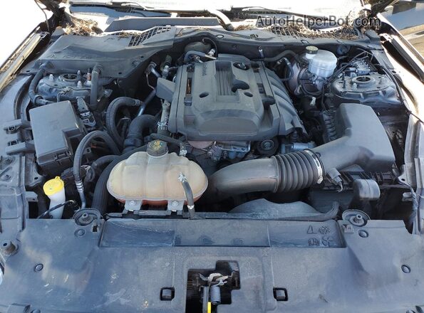 1FA6P8TH0K5169338 2019 FORD MUSTANG Black 
