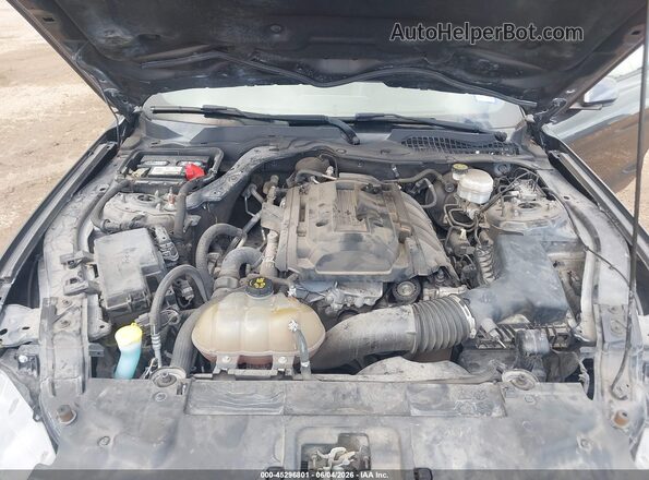1FA6P8TH0K5192974 2019 FORD MUSTANG Серый Вид сзади