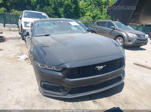 1FA6P8TH0R5120523 2024 FORD MUSTANG Black 