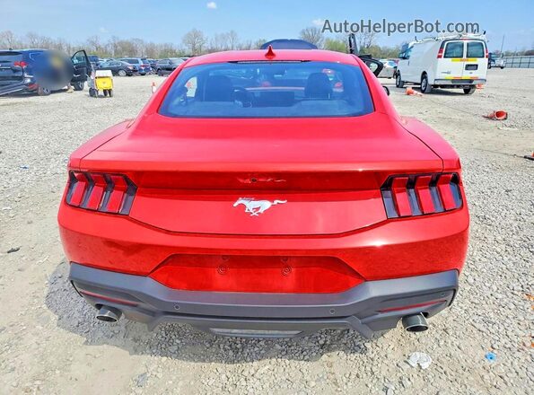1FA6P8TH0R5145602 2024 FORD MUSTANG Red Вид ззаду