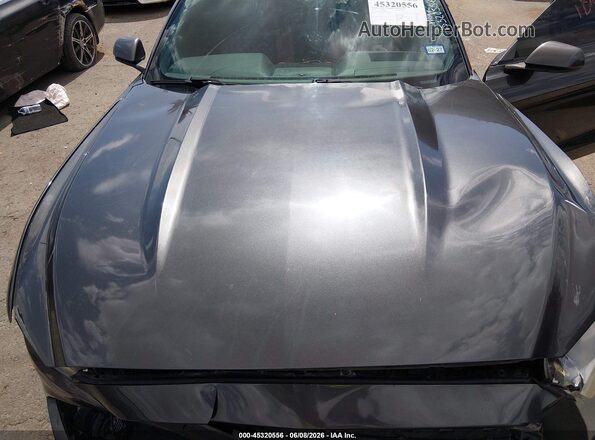 1FA6P8TH1G5206176 2016 FORD MUSTANG Gray Widok z tyłu