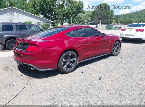 1FA6P8TH1K5194247 2019 FORD MUSTANG Red უკანა მარჯვენა