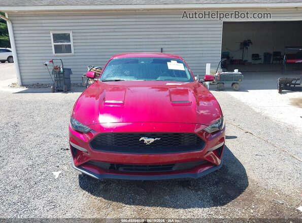 1FA6P8TH1K5194247 2019 FORD MUSTANG Red ხელსაწყოთა პანელის ხედი
