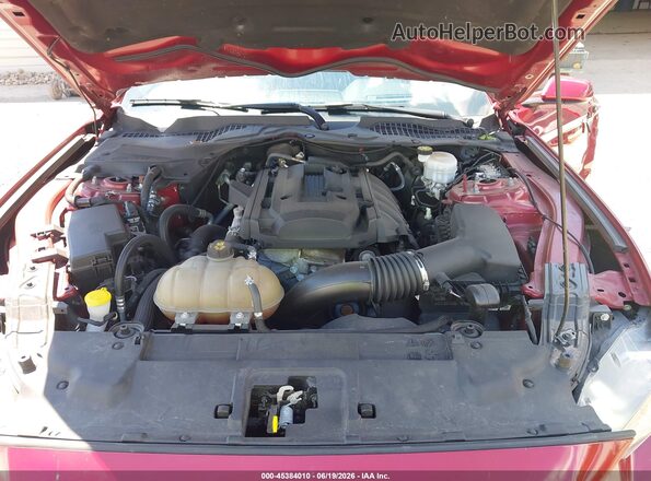 1FA6P8TH1K5194247 2019 FORD MUSTANG Red უკანა ხედი