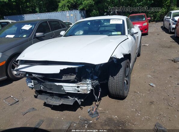 1FA6P8TH1R5107232 2024 FORD MUSTANG White Widok wnętrza z tyłu