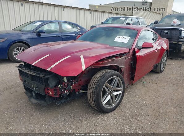 1FA6P8TH1R5111782 2024 FORD MUSTANG Red Передня ліва чверть