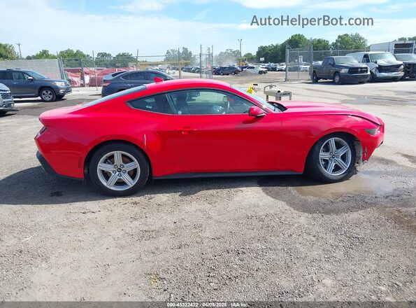 1FA6P8TH1T5109599 2026 FORD MUSTANG Red Вид задньої частини салону