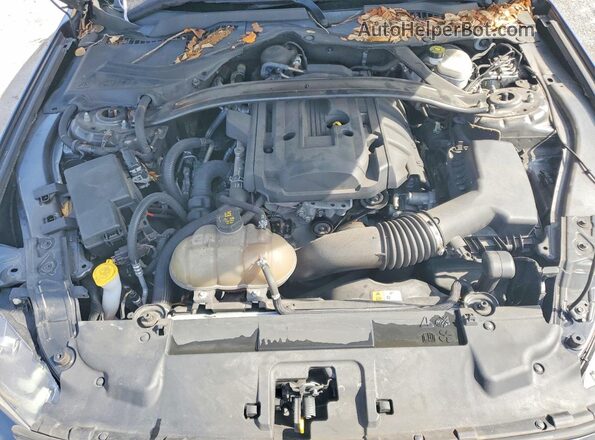 1FA6P8TH2J5153558 2018 FORD MUSTANG Gray Սալոնի հետևի տեսք