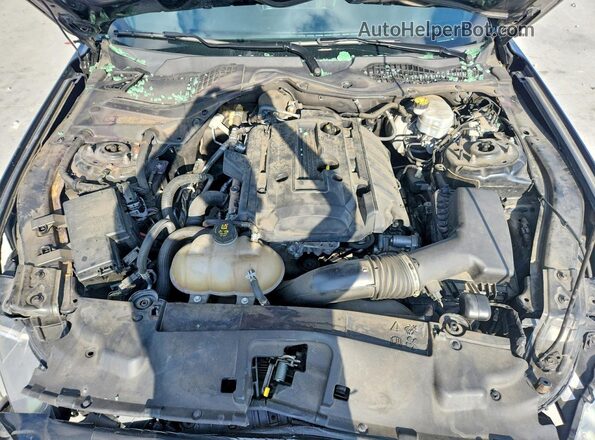 1FA6P8TH2K5168241 2019 FORD MUSTANG Black 