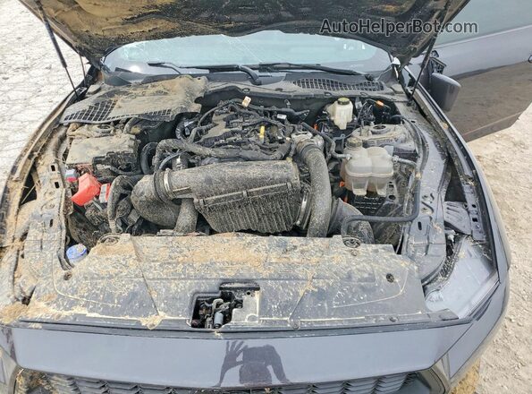 1FA6P8TH2R5111905 2024 FORD MUSTANG Black Vista interior trasera