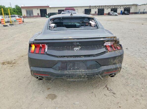 1FA6P8TH2R5111905 2024 FORD MUSTANG Black Vista trasera