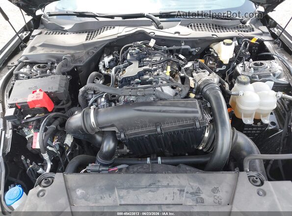 1FA6P8TH2S5119248 2025 FORD MUSTANG Black Vista trasera