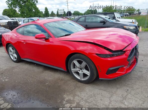 1FA6P8TH2T5115914 2026 FORD MUSTANG Red Սալոնի հետևի տեսք