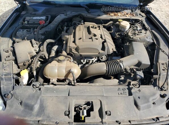 1FA6P8TH3K5122319 2019 FORD MUSTANG Black Widok wnętrza z tyłu