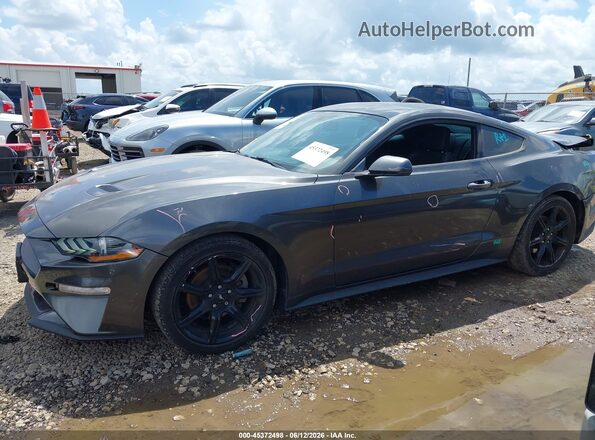 1FA6P8TH3K5134177 2019 FORD MUSTANG Gray სალონის 360-გრადუსიანი ხედი