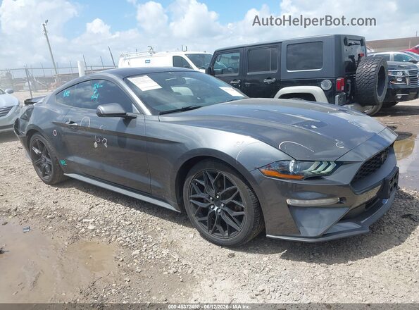 1FA6P8TH3K5134177 2019 FORD MUSTANG Gray უკანა სალონის ხედი