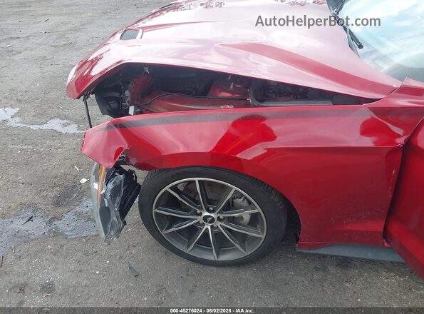 1FA6P8TH3K5186604 2019 FORD MUSTANG Burgundy 