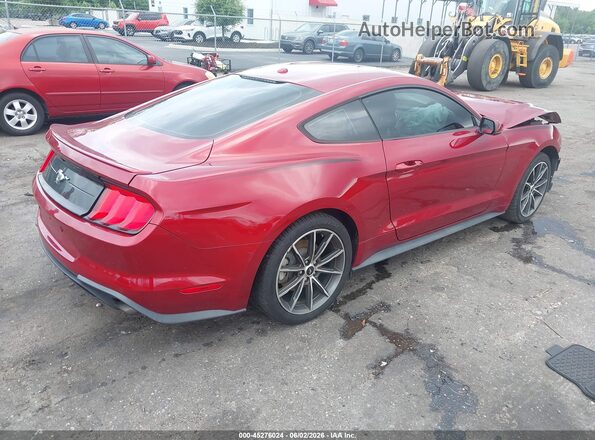 1FA6P8TH3K5186604 2019 FORD MUSTANG Burgundy 