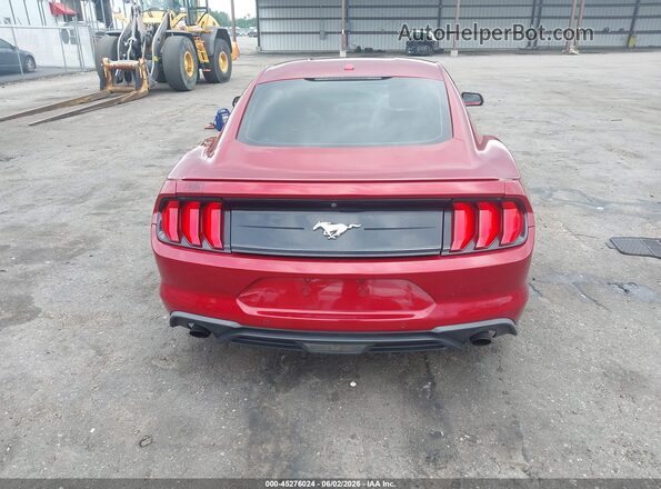 1FA6P8TH3K5186604 2019 FORD MUSTANG Burgundy 