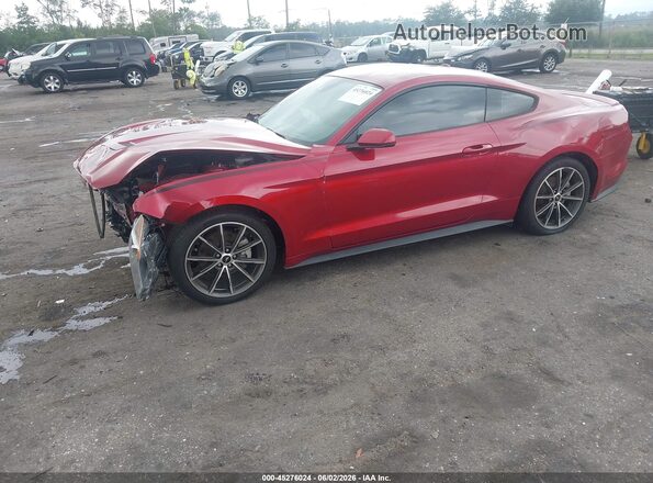 1FA6P8TH3K5186604 2019 FORD MUSTANG Burgundy 