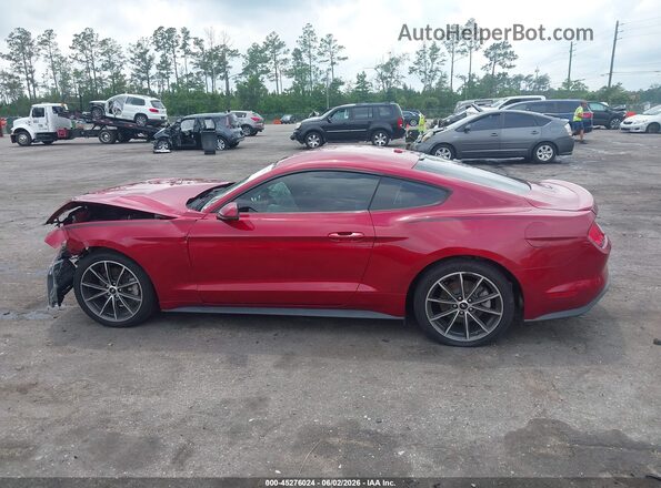 1FA6P8TH3K5186604 2019 FORD MUSTANG Burgundy 