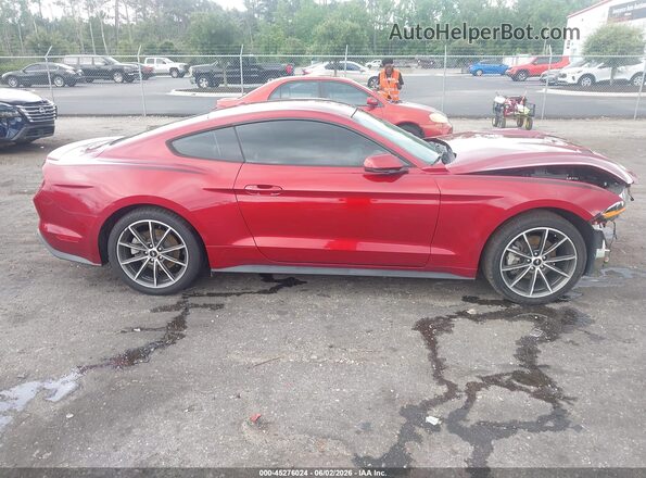 1FA6P8TH3K5186604 2019 FORD MUSTANG Burgundy 