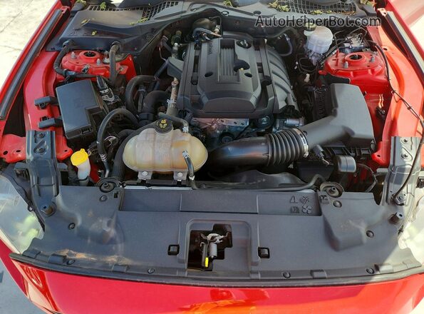 1FA6P8TH3K5202011 2019 FORD MUSTANG Red Rear interior view