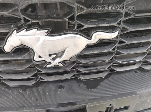 1FA6P8TH3R5122024 2024 FORD MUSTANG Black 