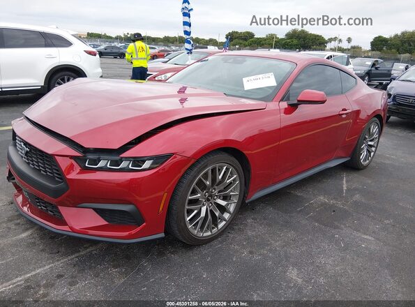 1FA6P8TH3R5133072 2024 FORD MUSTANG Красный Передняя левая четверть
