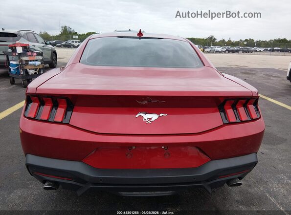 1FA6P8TH3R5133072 2024 FORD MUSTANG Красный 