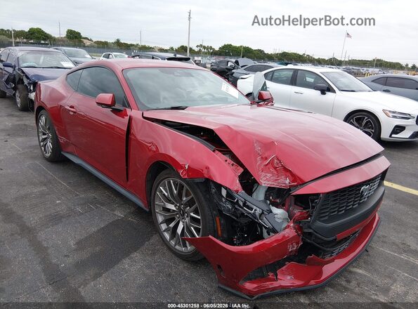 1FA6P8TH3R5133072 2024 FORD MUSTANG Красный Вид спереди