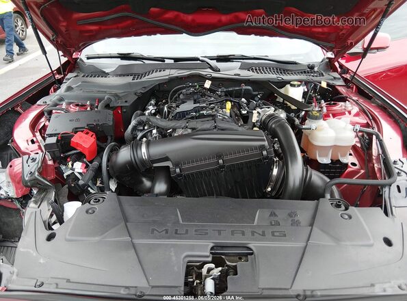1FA6P8TH3R5133072 2024 FORD MUSTANG Красный Вид сзади