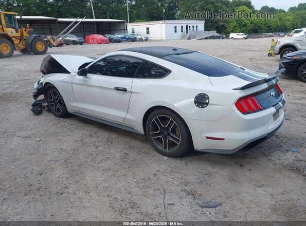 1FA6P8TH4K5151697 2019 FORD MUSTANG White უკანა მარცხენა