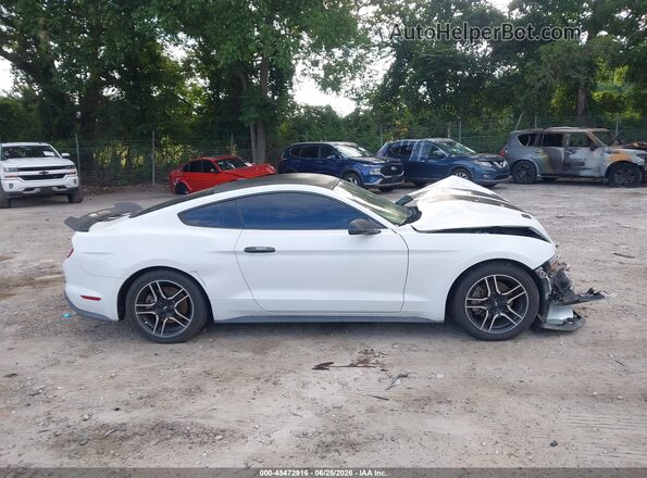 1FA6P8TH4K5151697 2019 FORD MUSTANG White უკანა სალონის ხედი