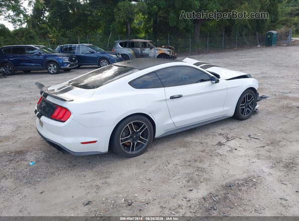 1FA6P8TH4K5151697 2019 FORD MUSTANG White უკანა მარჯვენა