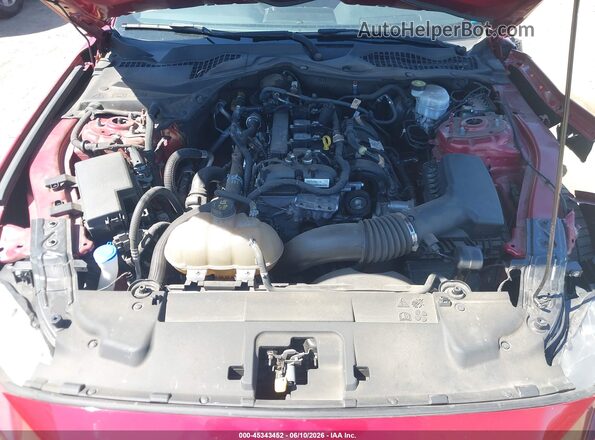 1FA6P8TH4M5114104 2021 FORD MUSTANG Красный Вид сзади