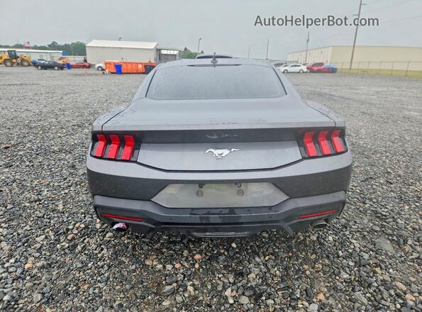 1FA6P8TH4R5113848 2024 FORD MUSTANG Gray Вид ззаду