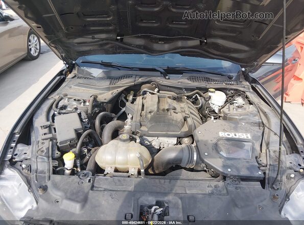 1FA6P8TH5K5185485 2019 FORD MUSTANG Gray Rear view